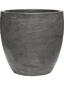 Baq Algar 34