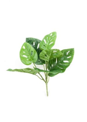 Monstera monkey mask