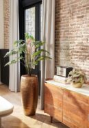Philodendron